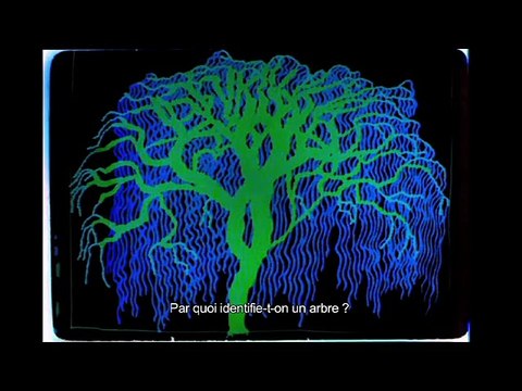 Conversation animée avec Noam Chomsky