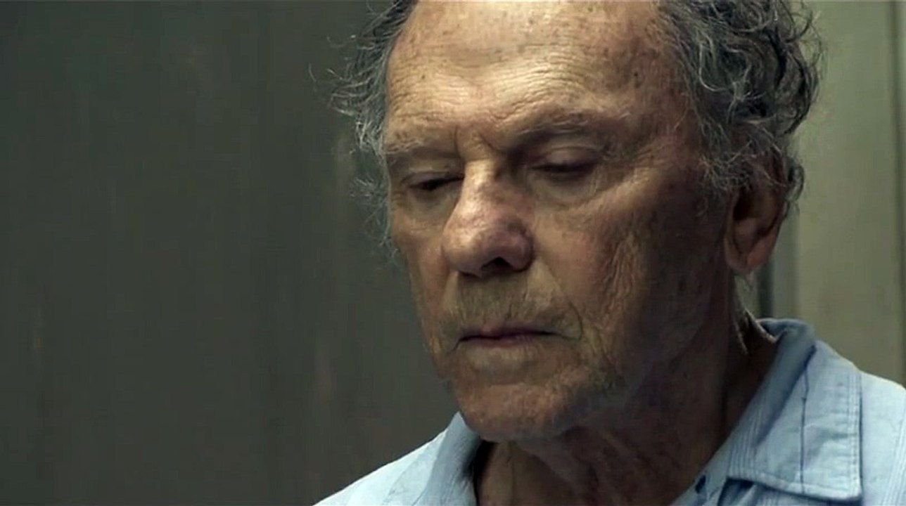 Michael Haneke, profession réalisateur