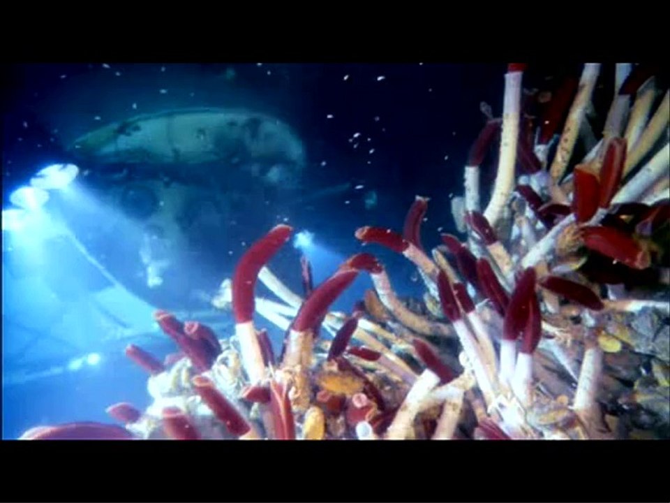 Deepsea Challenge 3D, l'aventure d'une vie