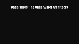 PDF Download Caddisflies: The Underwater Architects PDF Online