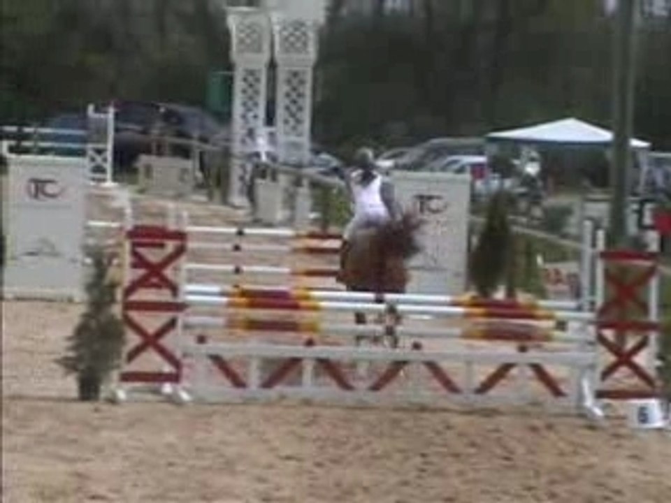 Havanne arnas vit 1m05