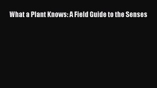 PDF Download What a Plant Knows: A Field Guide to the Senses Read Online