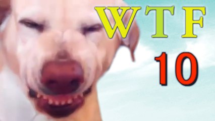 WTF Epic Fails 2016 Compilation | 10