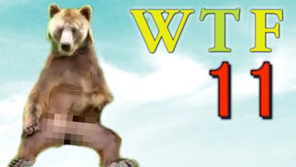 WTF Epic Fails 2016 Compilation | 11