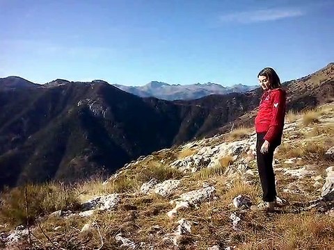 Aquila reale, nella Riviera dei Fiori, sulle Alpi Liguri