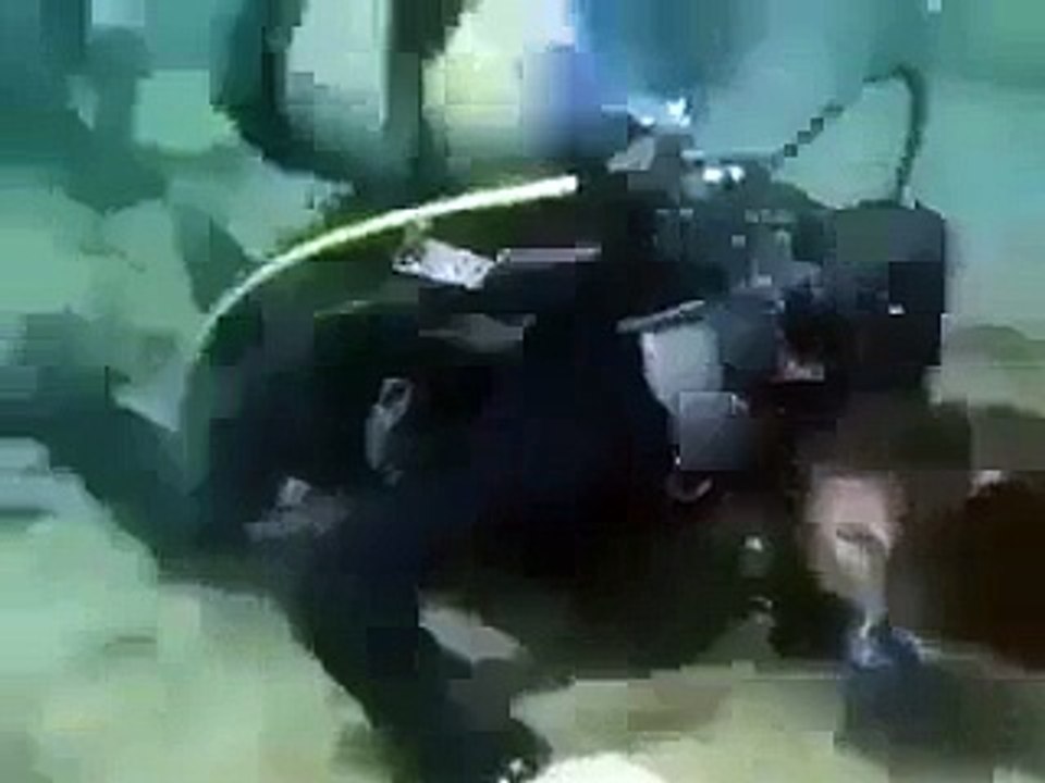Holding deep-sea congregation , Most effective video