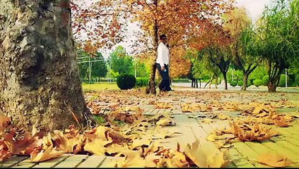 kuch na raha lattest song by sheikh waleed naeem