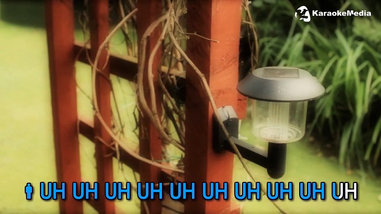 La música alegra el alma...y aparta las energías negativas