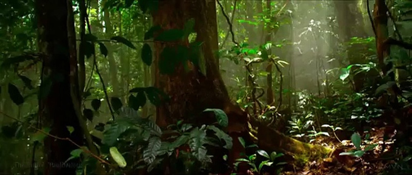 Epic Cinematic | Audiomachine - The Truth (Emotional Dramatic) - EpicMusicVN (World Music 720p)