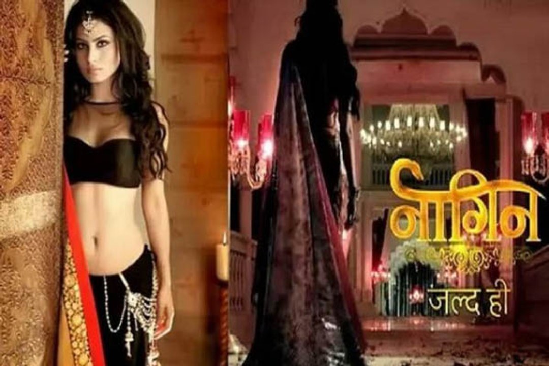 Nagin 12 January 2016 Colors TV Full Episode