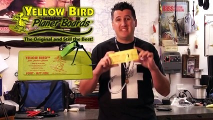 Catching Carp on 2 lb line & ultra light gear!