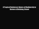 PDF Download A Tropical Rainforest: Nature of Biodiversity in Borneo at Belalong Brunei Download