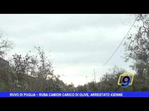 Ruvo | Ruba camion con olive, arrestato 43enne