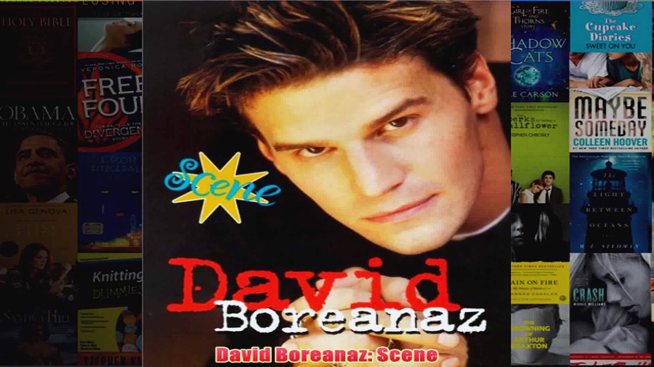 David Boreanaz Scene