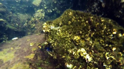 Destin Florida Jetty Night Fishing - June 2015