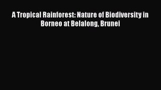 PDF Download A Tropical Rainforest: Nature of Biodiversity in Borneo at Belalong Brunei PDF