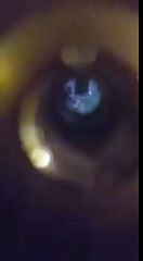 Bakıda yeni oğrular peyda olub