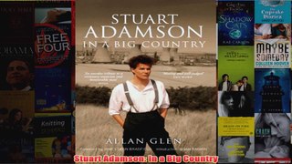 Stuart Adamson In a Big Country
