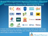 Brand Management Agency Provides Effective Solution to Clients for Managing Brand