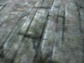 Guild Wars Guild Uot