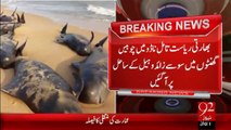 BreakingNews -whales Ka Marnay Ka Khadshah - 12-Jan-16 - 92NewsHD