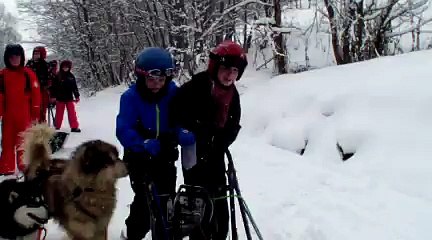 Les chiens de traîneau 7