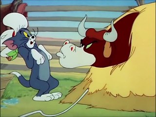 Tom and Jerry, 49 Episode - Texas Tom (1950)