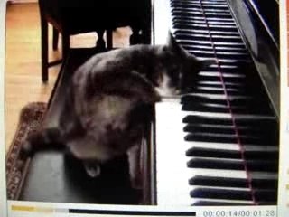 Mozart version Chat