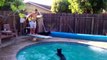 Funny People-People Failing At Diving Off Diving Boards