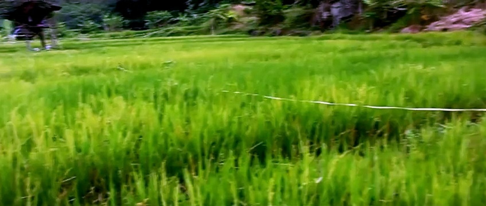Iklan Farming Simulator
