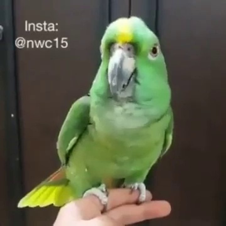 mashallah