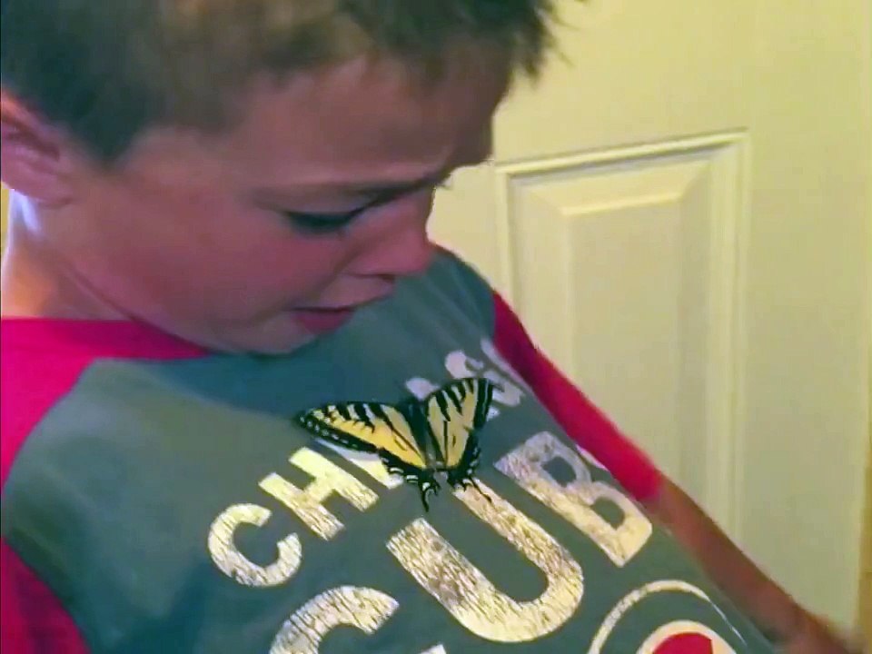 Kid Afraid of Butterfly
