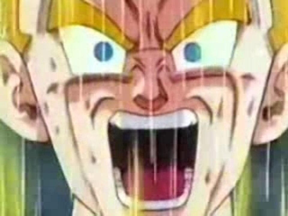 In the puissance dbz amv