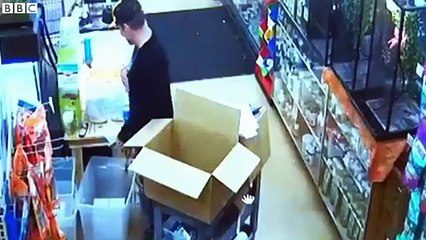 USA: Il vole un serpent en le mettant... dans son pantalon !