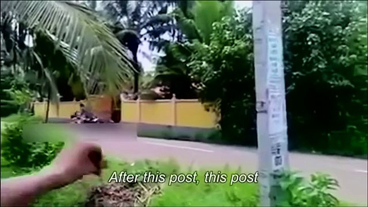 Top Funny Video