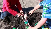 Surprise Toys Beach Princess Anna & Frozen Queen Elsa AllToyCollector Bubble Guppies Peppa