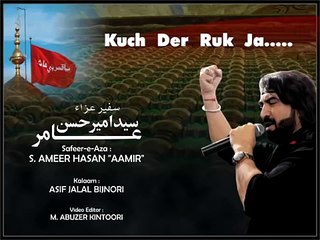 08 Tadap Kar Kahte The l Nohakhuwan - Syed Ameer Hasan Aamir 2016 Nohay