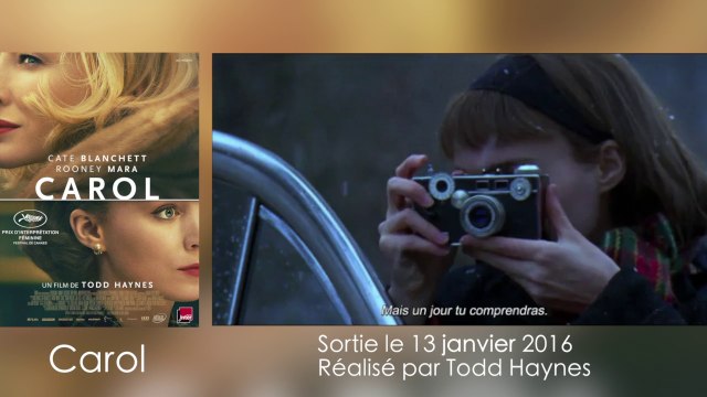 Faut-il aller voir Carol de Todd Haynes ?