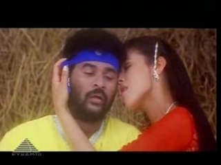 04 - Vadi vadi