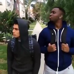 Very Funny Dog pranks Compilation ll so funny video