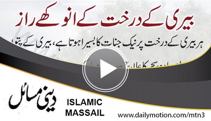 amaizing secrats of this tree