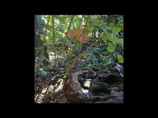 voyage Alice Australie partie 1