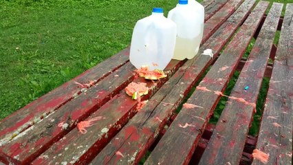 Fusil calibre 50 vs watermelon ... Violent