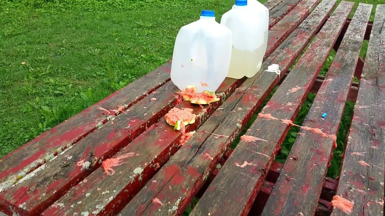 Fusil calibre 50 vs watermelon ... Violent