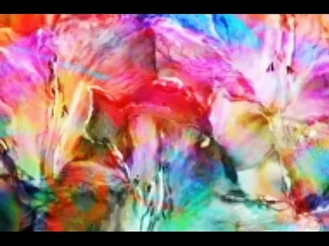 БРЕД!!!! ГОЛЫЕ животные! NONSENSE!!!! NAKED animals!