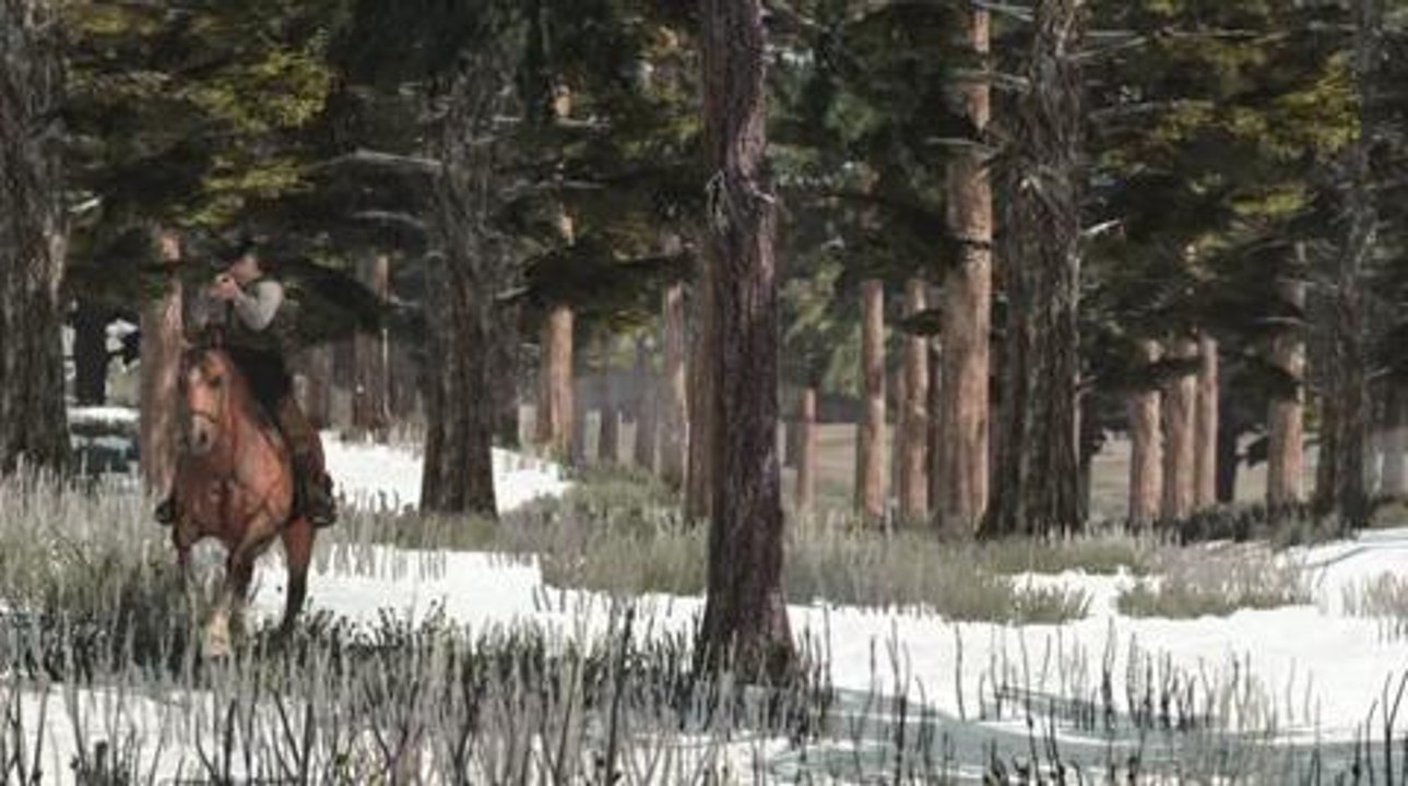 Gameplay de Red Dead Redemption