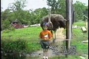 ☺ AFV Part 109 (NEW!) Americas Funniest Home Videos 2012 (Funny Videos Montage Compilatio