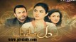 Dil Manay Na » Tv one Urdu Drama » Episode 	42	» 12th January 2016 » Pakistani Drama Serial