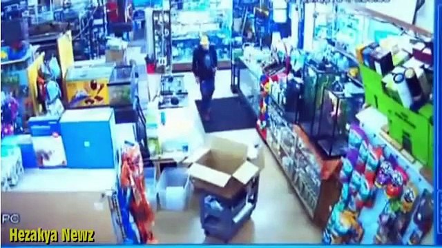 Il vole un python en le cachant dans son pantalon