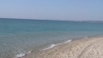 Greece, Chalkidiki, Possidi beach, dolphins and memaids / 2011